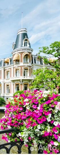Шторы амстердам,сирень