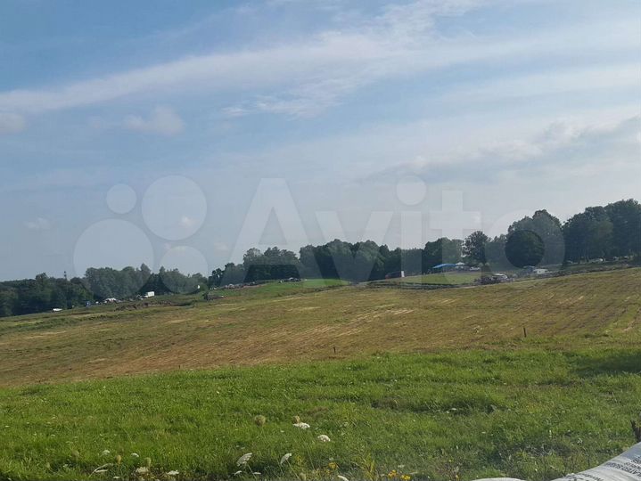 Участок 20 га (СНТ, ДНП)