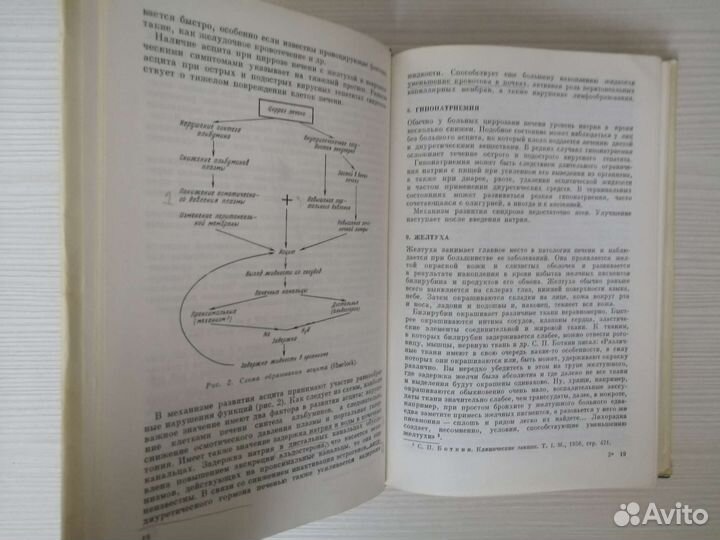 Клиническая гепатология (1970г.) / З. Бондарь