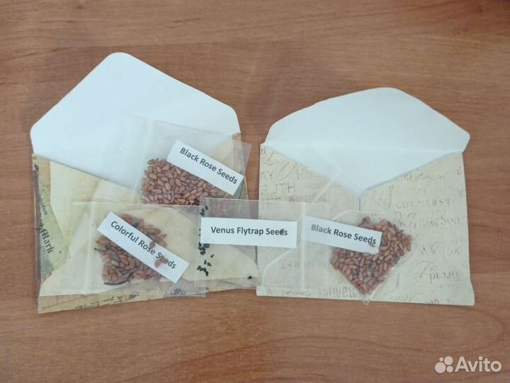 Семена розы