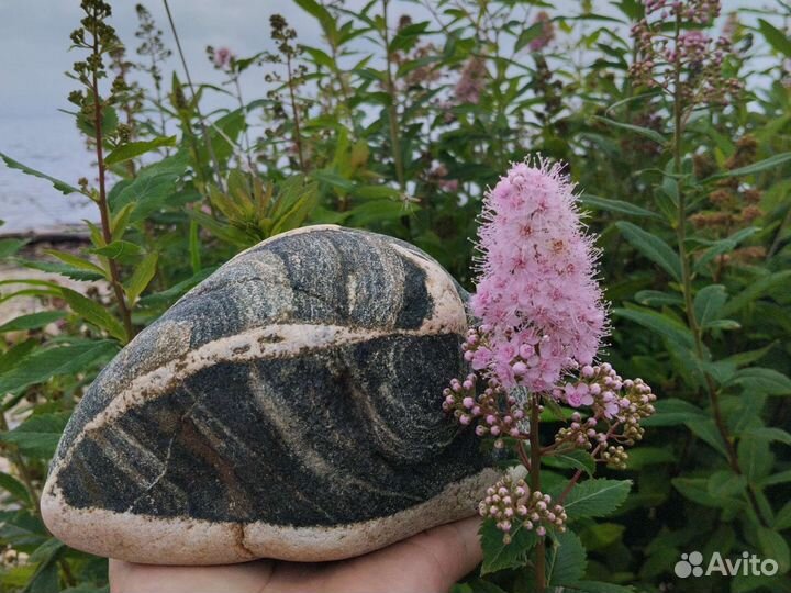 Камень с Байкала