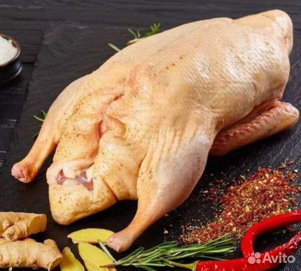Утка домашняя мясо