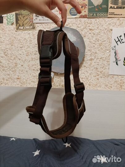 Шлейка для собаки