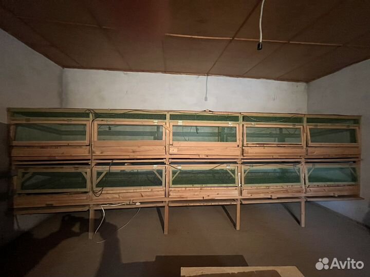 Клетки для цыплят