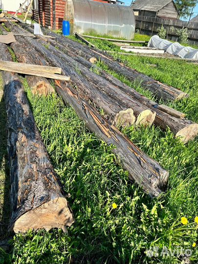 Круглый лес(полухлысты)диаметр от 20(12шт)