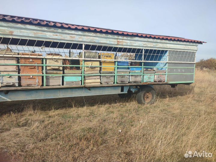 Вагон для пчел