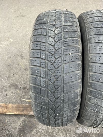 Tigar Winter 1 185/65 R15 92T