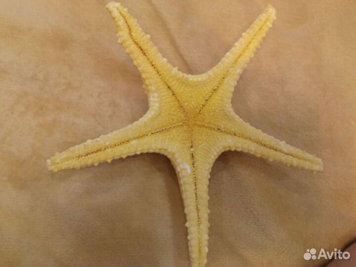 Грот и другое для аквариума