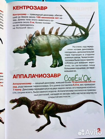 Первая энциклопедия