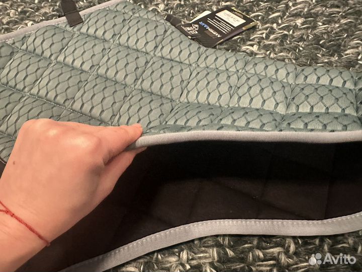 Вальтрап lemieux (конкур)