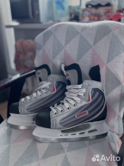 Ледовые коньки