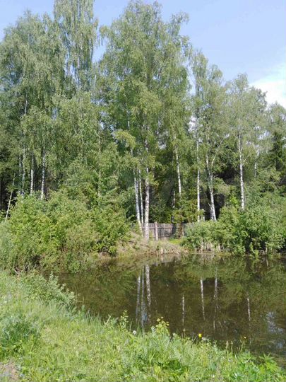 Дача 19 м² на участке 5 сот.