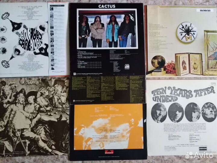 Cactus Caravan Ten Years after Nazareth