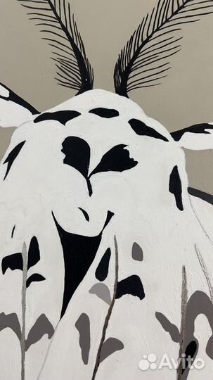 Картина на холсте мотылек