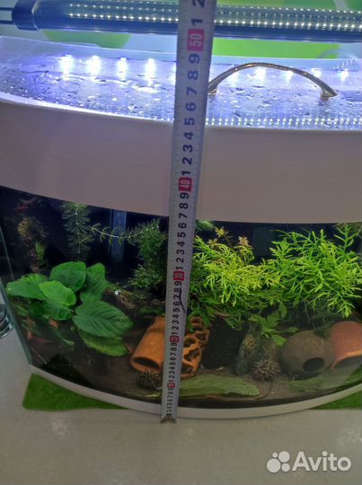 Аквариум 50 литров