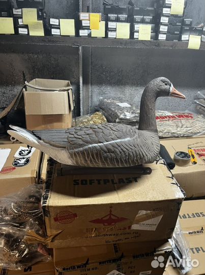 Плавающие чучела Гусей