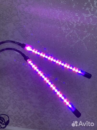 Фитолампа для растений рассады