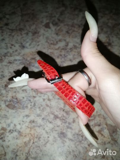 Товары для животных