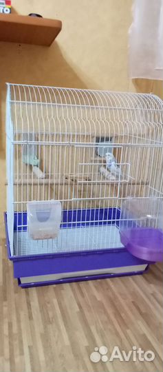 Продам клетку для птиц
