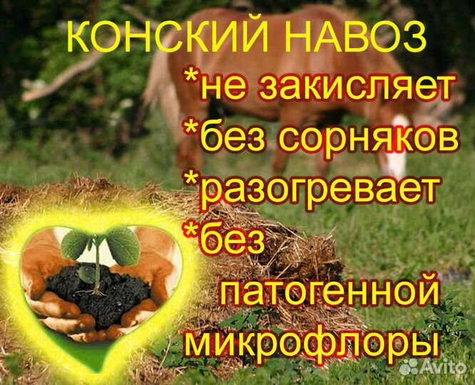 Конский навоз в мешках (отборный)