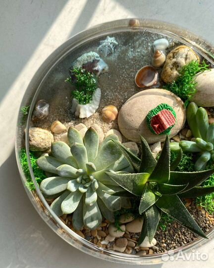 Флорариум с суккулентами и имитацией озера