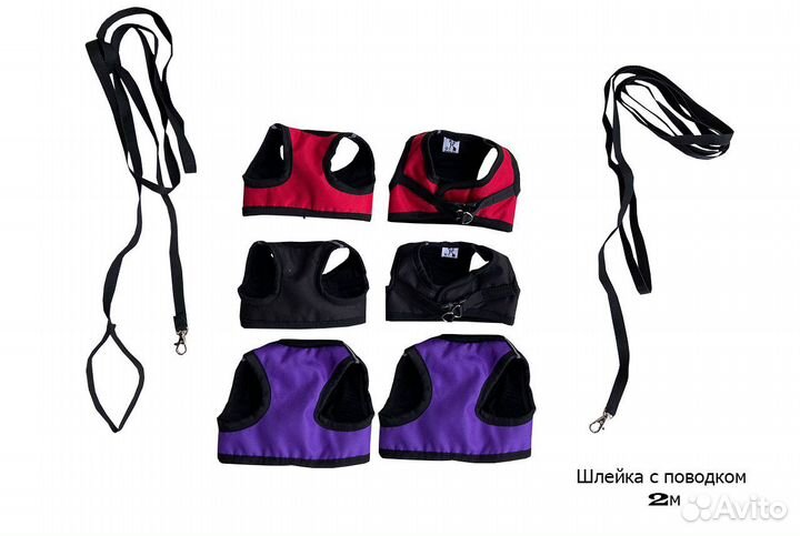 Одежда для собак