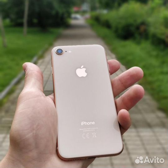 iPhone 8, 64 ГБ