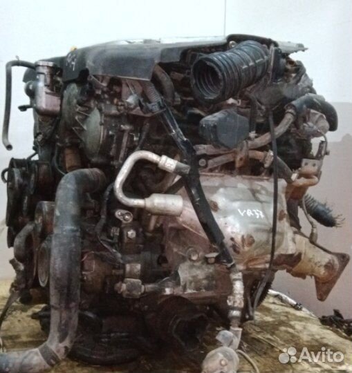 Контрактный двигатель Infinity VQ37VHR 3.7