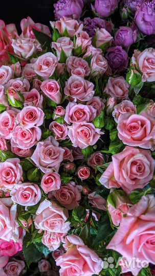 Букет роз цветы кустовые розы