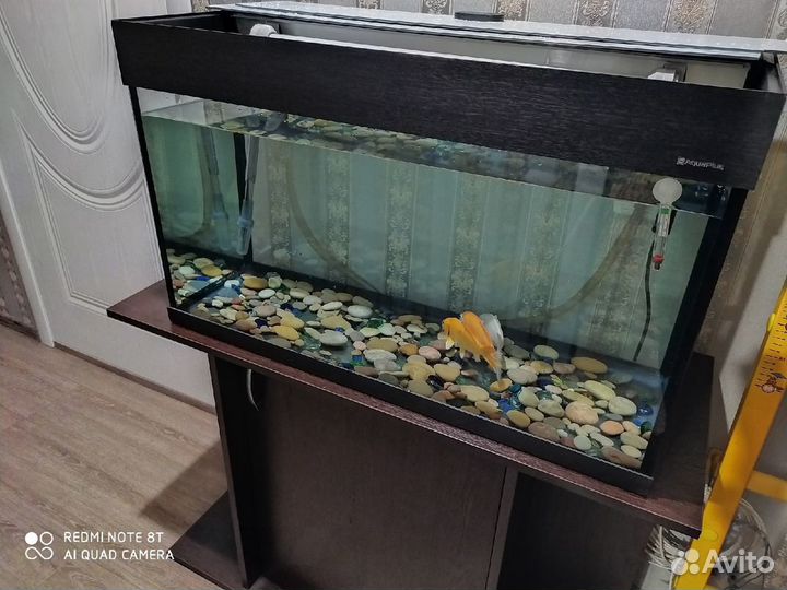 Аквариум Фильтр Компрессор