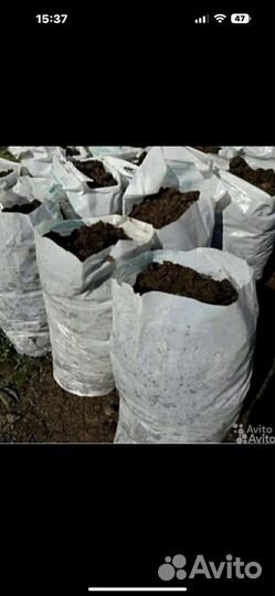 Навоз бесплатно загрузим самовывоз