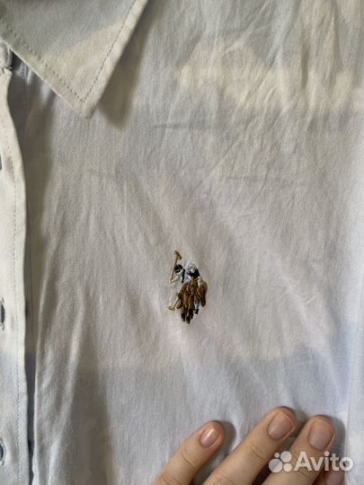 Рубашка us polo 42