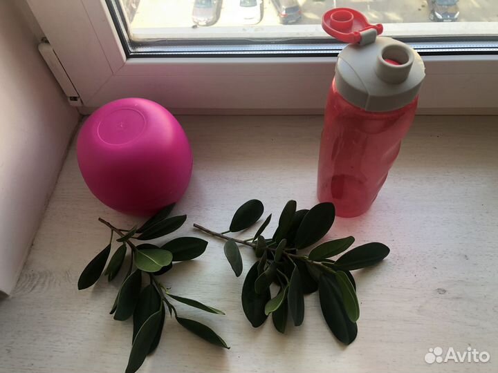 Бутылочка для воды Таппервайер