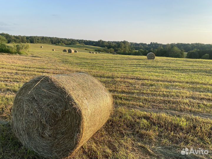 Сено луговое в рулонах
