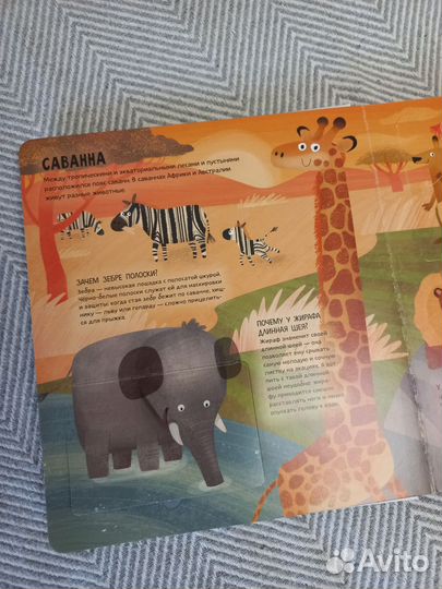 Книги о животных