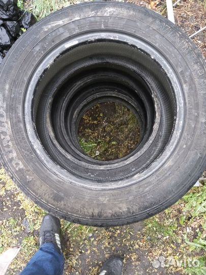 Dunlop Winter Maxx 205/60 R16