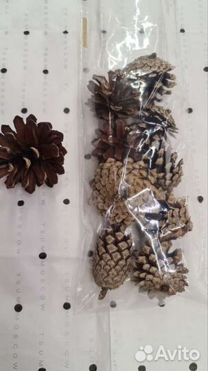Сосновые шишки набр 10 штук