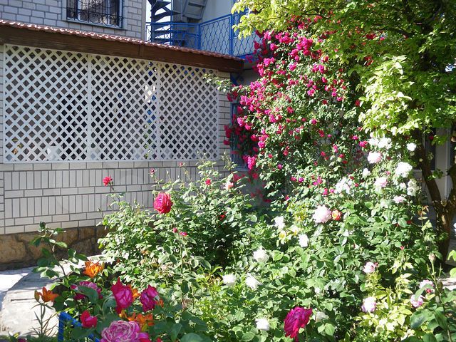 Комната 10 м² в > 9-к., 1/2 эт.