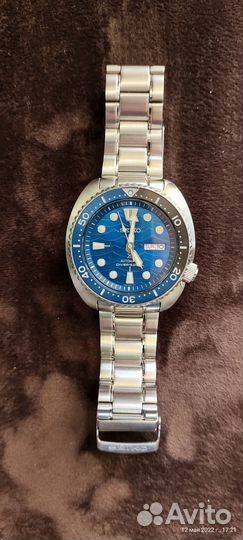 Сеико черепаха