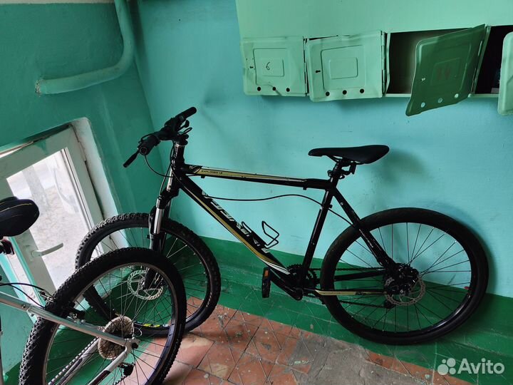 Univega Explorer 1.0