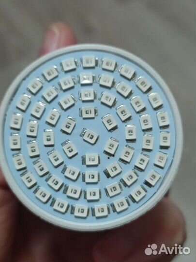 Фитолампа для растений