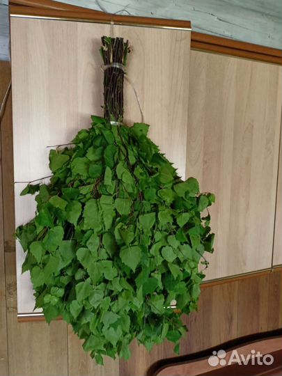 Веники для бани берёзовые