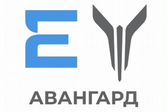 Авангард Evolute