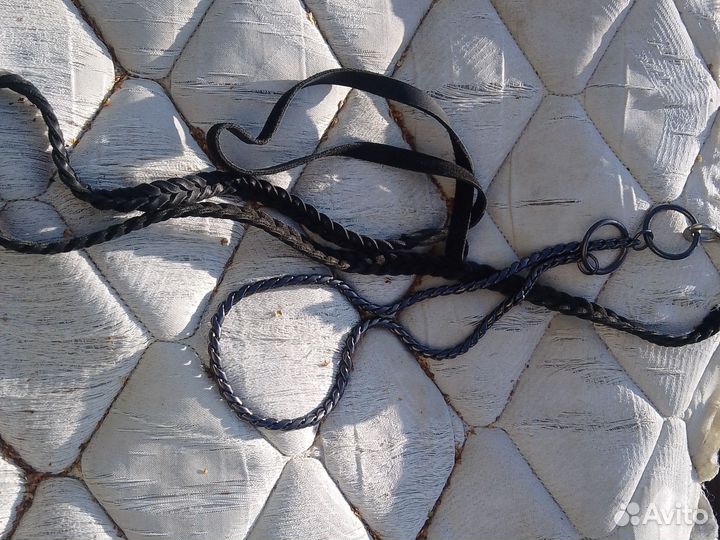 Ринговка для собак