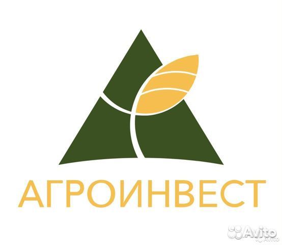 Старший лаборант