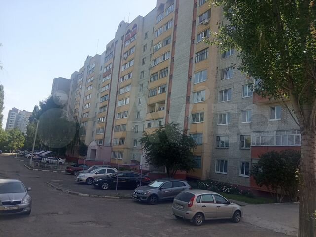 Dediroll садовая ул 21 белгород фото
