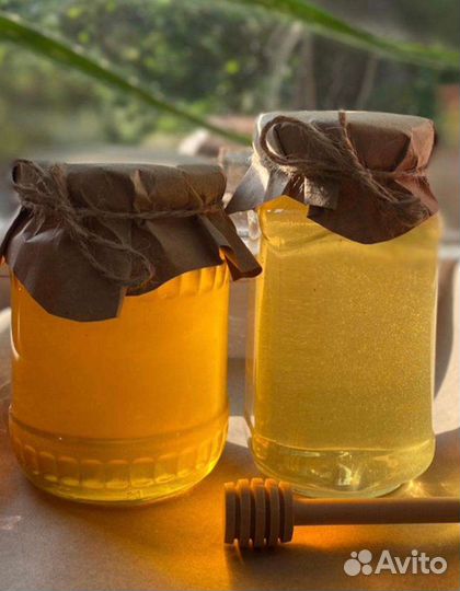 Свежий мед с пасеки