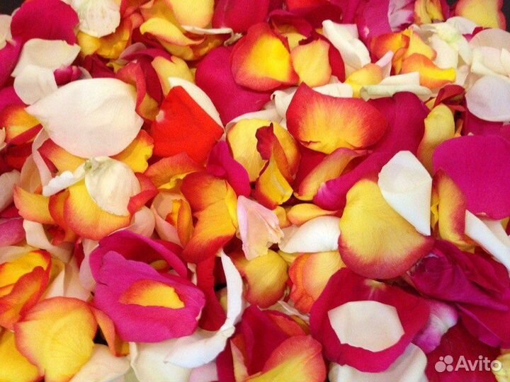 Лепестки роз для романтики