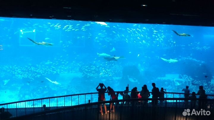 Промокод Билет москвариум