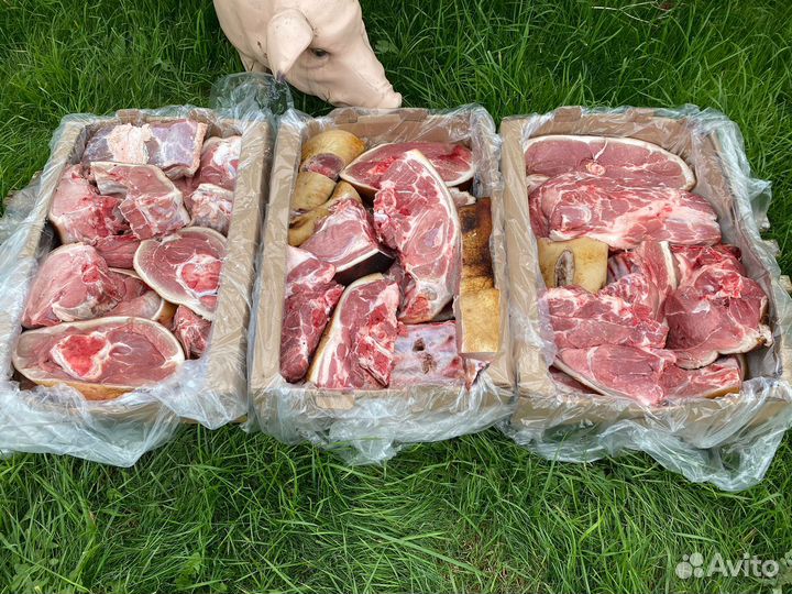 Фермерское мясо свинина